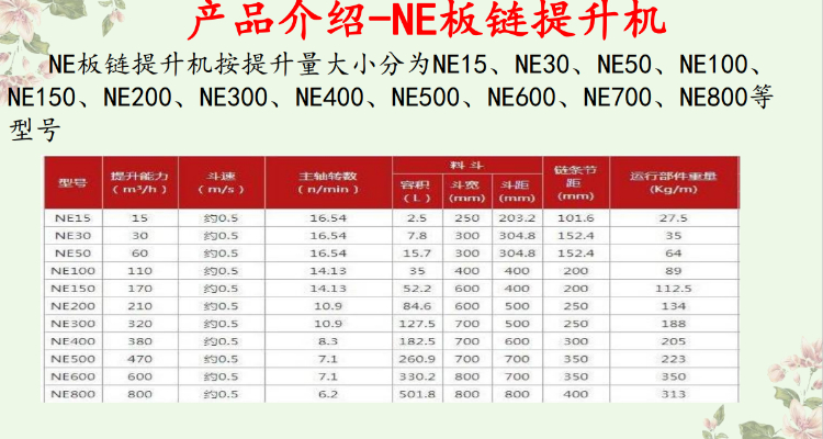 NE参数 